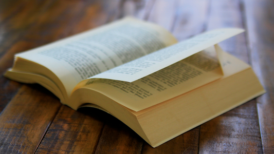 Open paperback book with a dog-eared page resting on a wooden table.