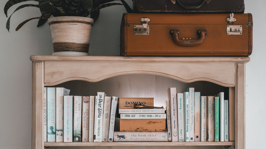 Cozy wooden bookshelf with vintage suitcases and potted plant, styled with pastel book spines and literary favorites